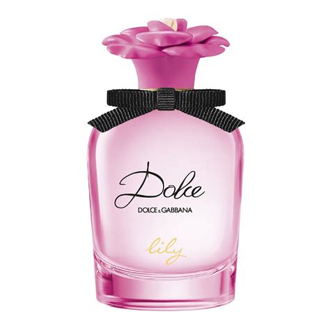 sac dolce gabbana femme 2018|dolce and gabbana eau de toilette.